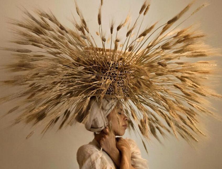 Spighe di grano stabilizzato mazzo 100 steli - Sconti per Fioristi e Aziende