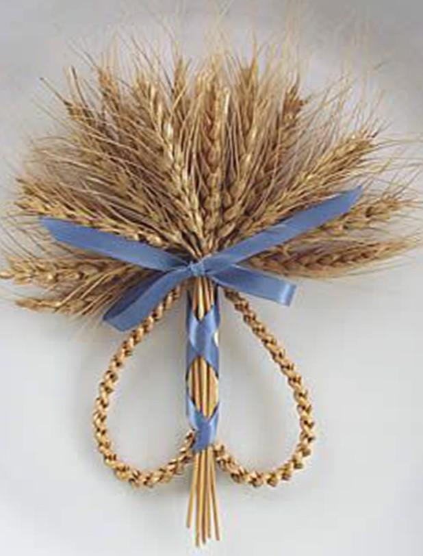 Spighe di grano stabilizzato mazzo 100 steli - Sconti per Fioristi e Aziende