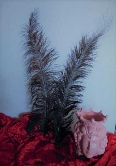 Piume di struzzo cm. 60/70  - Sconto per Fioristi e Aziende - in vari colori