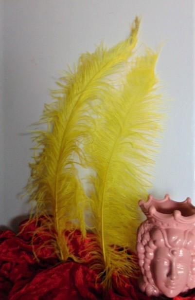 Piume di struzzo cm. 55/60  - Sconto per Fioristi e Aziende - in vari colori