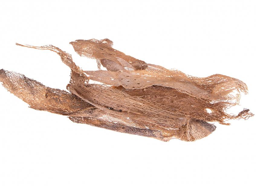 Fibra scheletrita di fico d'india naturale  250 gr. - Sconti per Fioristi e Aziende .