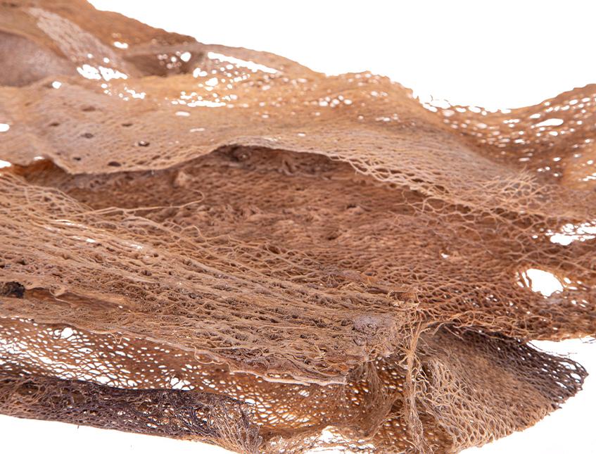 Fibra scheletrita di fico d'india naturale  250 gr. - Sconti per Fioristi e Aziende .