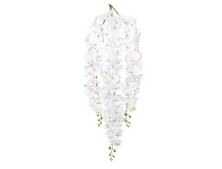 Phalenopsis Cadente x 3 H 113 - Sconti per Fioristi e Aziende . - In poliester