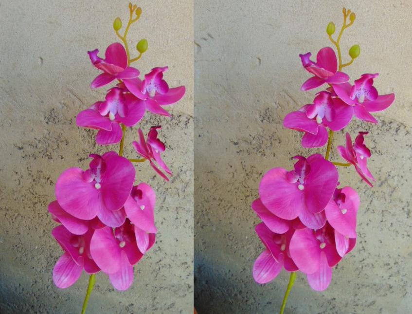 Phalenopsis x 9 in poliester - Sconti per fioristi e aziende . - Real touch