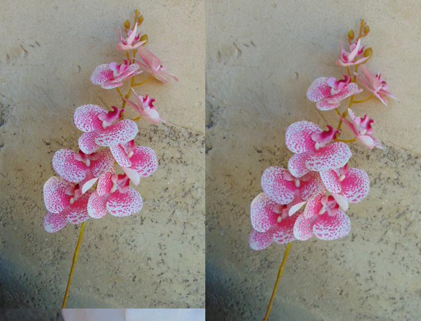 Phalenopsis x 9 in poliester - Sconti per fioristi e aziende . - Real touch
