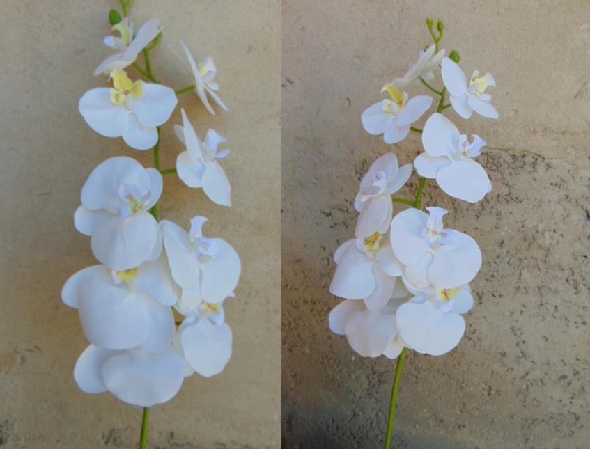 Phalenopsis x 9 in poliester - Sconti per fioristi e aziende . - Real touch