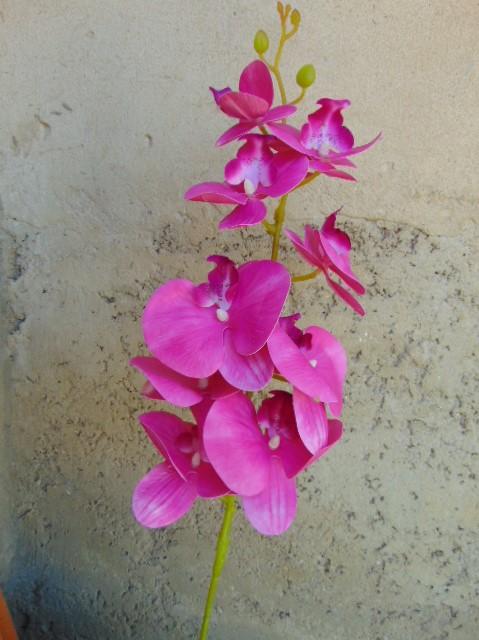 Phalenopsis x 9 in poliester - Sconti per fioristi e aziende . - Real touch