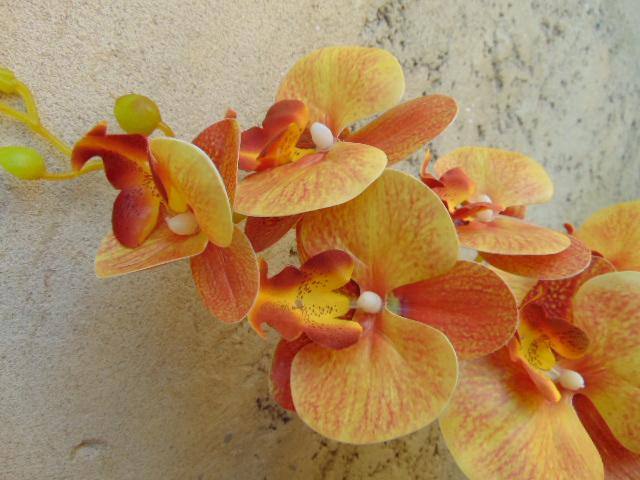 Phalenopsis x 9 in poliester - Sconti per fioristi e aziende . - Real touch