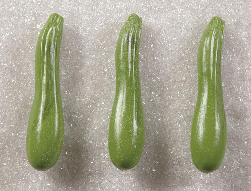 Zucchine artificiale in plastica cm.4 x 18 Sconti per Fioristio e Aziende