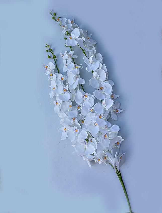 Phalenopsis Cadente x 3 H 113 - Sconti per Fioristi e Aziende . - In poliester