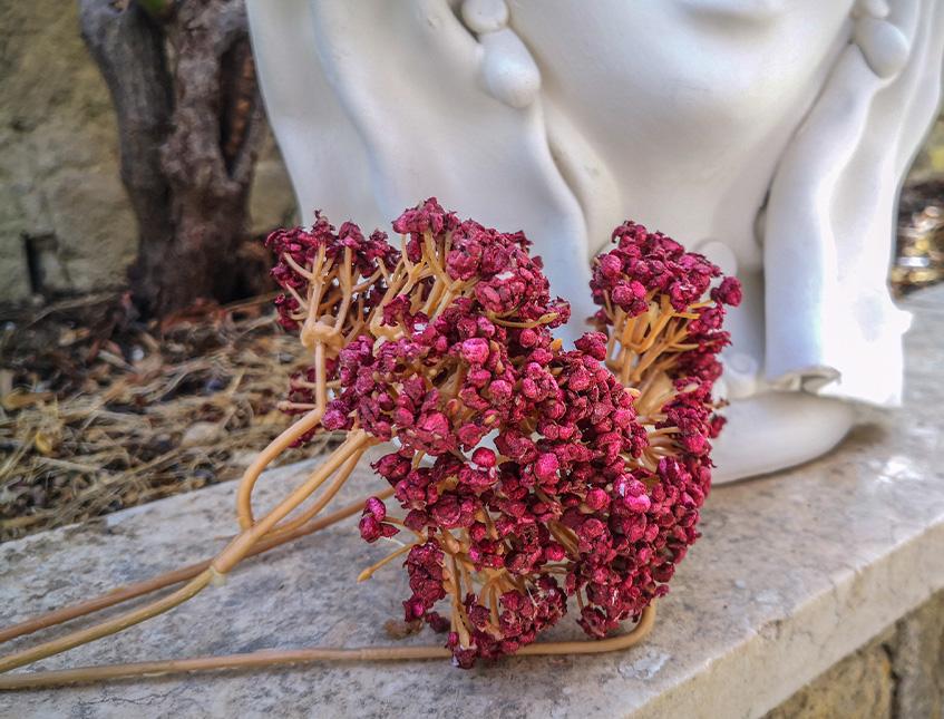 Akillea Artificiale Bordeaux H 34 in polistirene Sconti per Fioristi e Aziende