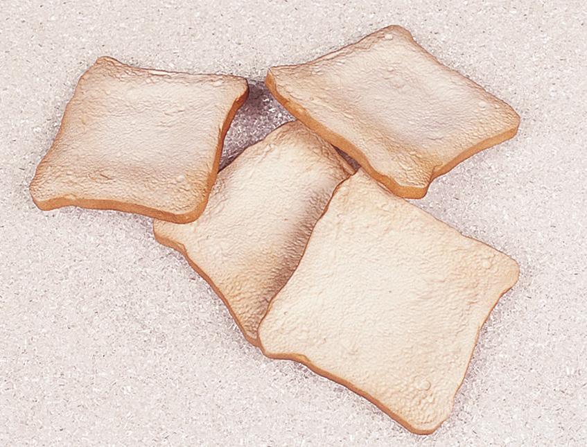 Toast a fette artificiale in plastica Sconti per Fioristi e Aziende .