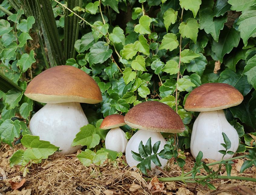 Fungo porcino artificiale x 4 in plastica - Sconti per Fioristi e Aziende . - assortito