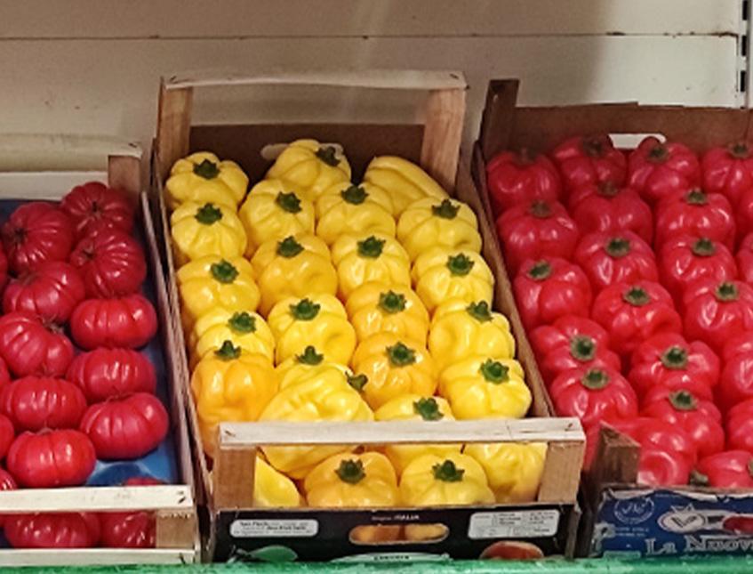 Peperone grande giallo artificiale in plastica  - Sconti per Fioristi e Aziende . - cm. 8.5 x 11