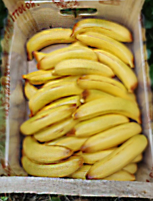Banana piccola artificiale in plastica H 15 cm. dm. 3.5 - Sconti per Fioristi e Aziende e Wedding .