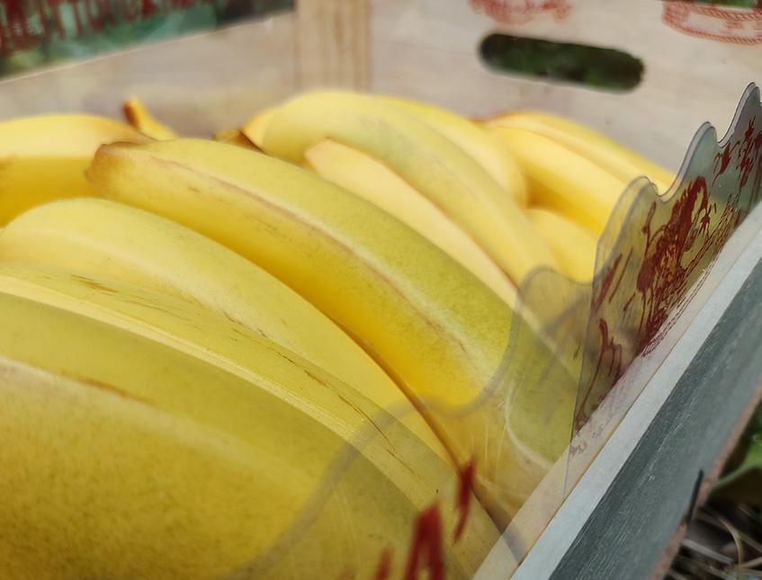 Banana piccola artificiale in plastica H 15 cm. dm. 3.5 - Sconti per Fioristi e Aziende e Wedding .