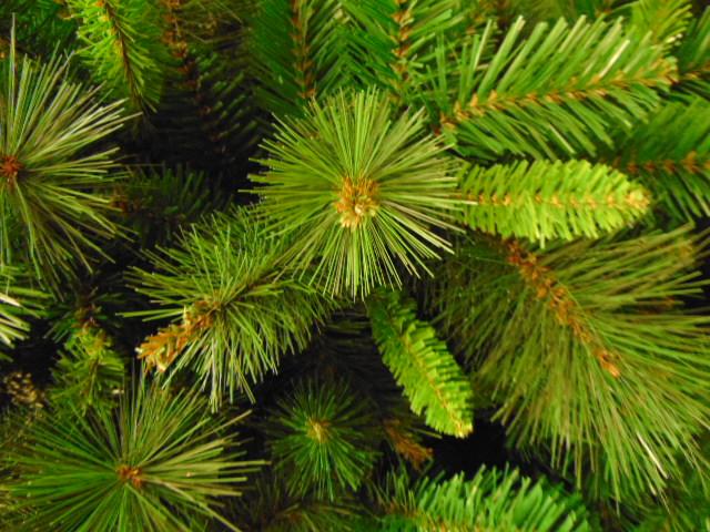 Albero di Natale Kentucky  -  Sconti per Fioristi e Aziende . H 270 in PVC