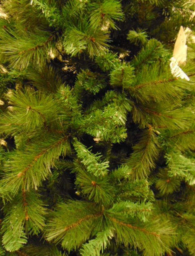 Albero di Natale Monterosa - Sconti per Fioristi e Aziende . - H 150-180 in Polistere