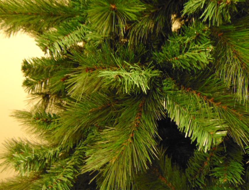 Albero di Natale Monterosa - Sconti per Fioristi e Aziende . - H 150-180 in Polistere