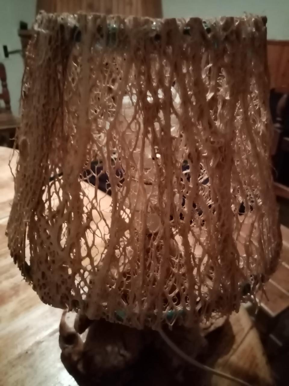 Fibra scheletrita di fico d'india naturale  250 gr. - Sconti per Fioristi e Aziende .