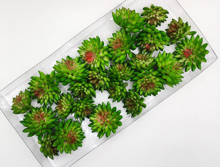 Succulente x 24 in dm. 3 e 4 - Sconti per Fioristi e Aziende - Assortite