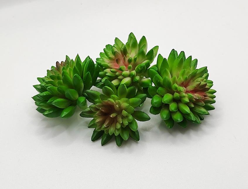 Succulente x 24 in dm. 3 e 4 - Sconti per Fioristi e Aziende - Assortite