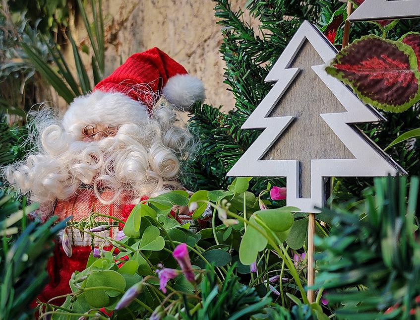 Stecca con Albero di Natale H 45 in legno - 3 Modelli Sconti per Fioristi, Wedding e Aziende