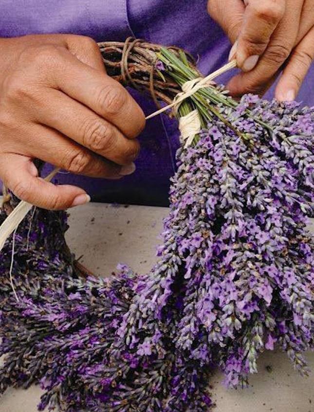 Lavanda naturale profumata Mazzo gr. 40- Sconti per Fioristi e Aziende . -  H 30