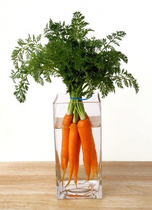 Carota con foglia artificiale in plastica - Sconti per Fioristi e Aziende . - cm. 4 x 30