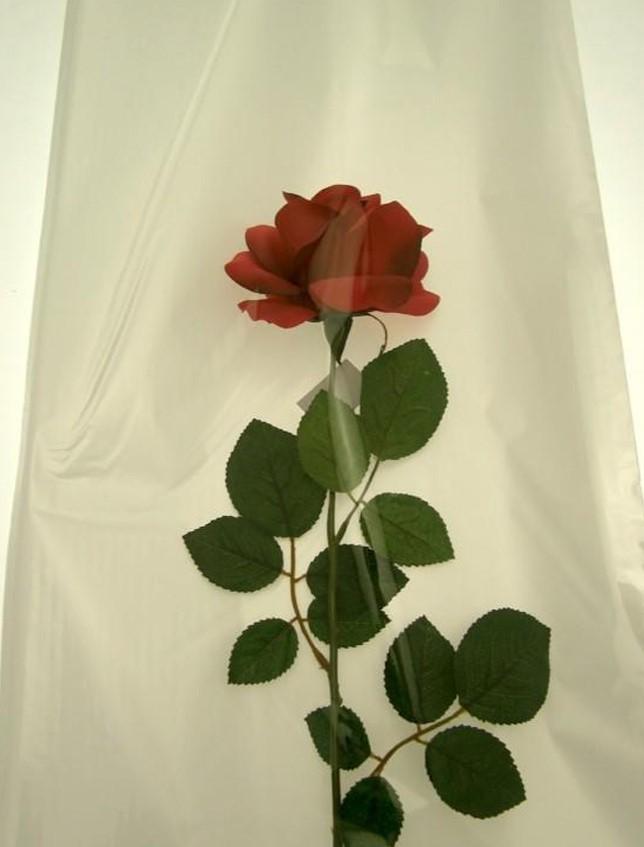 Busta per rosa H 25 x 100  - Confezione da 100 buste - Fondo Argento + Neutro