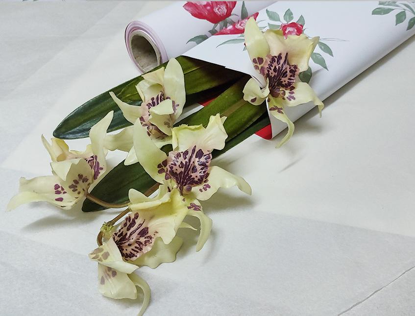 Fogli 70X70 Bicolore Annabelle Conf. 25 fogli Sconti per Fioristi, Wedding e Aziende