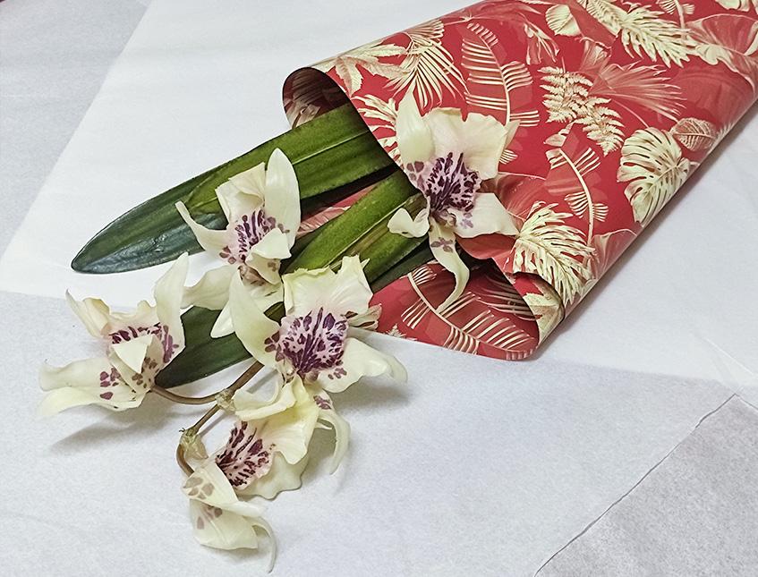 Fogli 70X70 Best Rosso Conf. 25 fogli Sconti per Fioristi, Wedding e Aziende