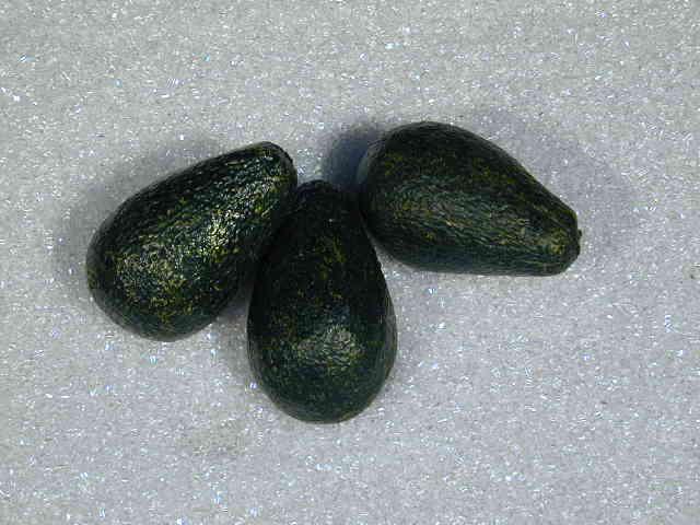 Avvocado in plastica - Sconti per Fioristi e Aziende . - realistico
