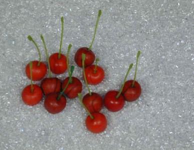 Ciliegie in plastica artificiale - Sconti per Fioristi e Aziende . - realistiche