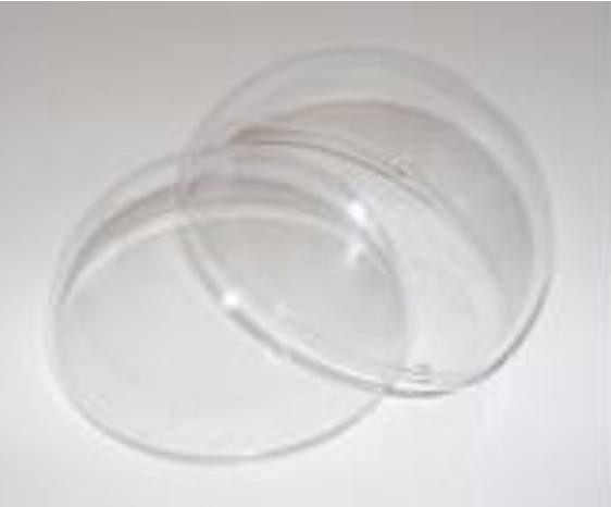 Sfera apribile x 10 in plastica dm 60 mm Sconti per Fioristi, Wedding e Aziende