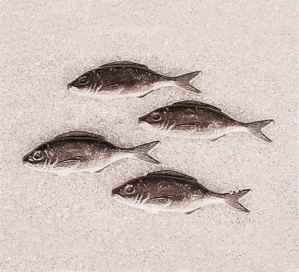 Sardina artificiale in plastica - Sconti per Fioristi e Aziende . - 12x4 cm