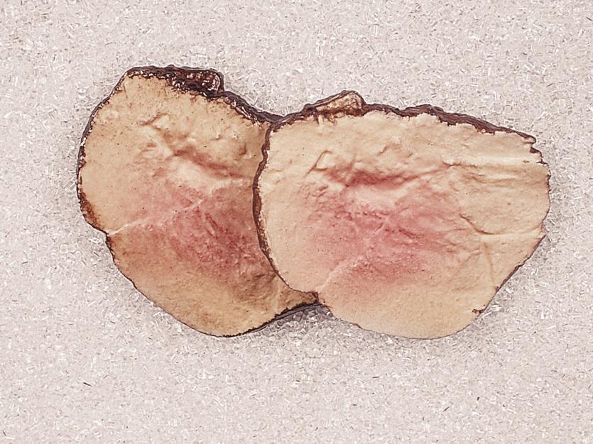 Roastbeef a fette artificiale x 2 pezzi in plastica Sconti per Fioristi, Wedding e Aziende .