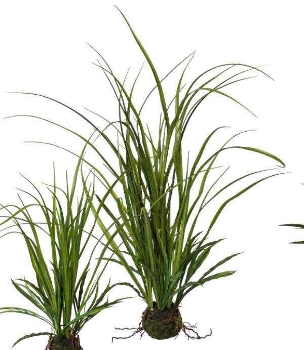 Grass artificiale H 71 cm.  - Sconti per Fioristi e Aziende . - Kokedama in sfera muschiata