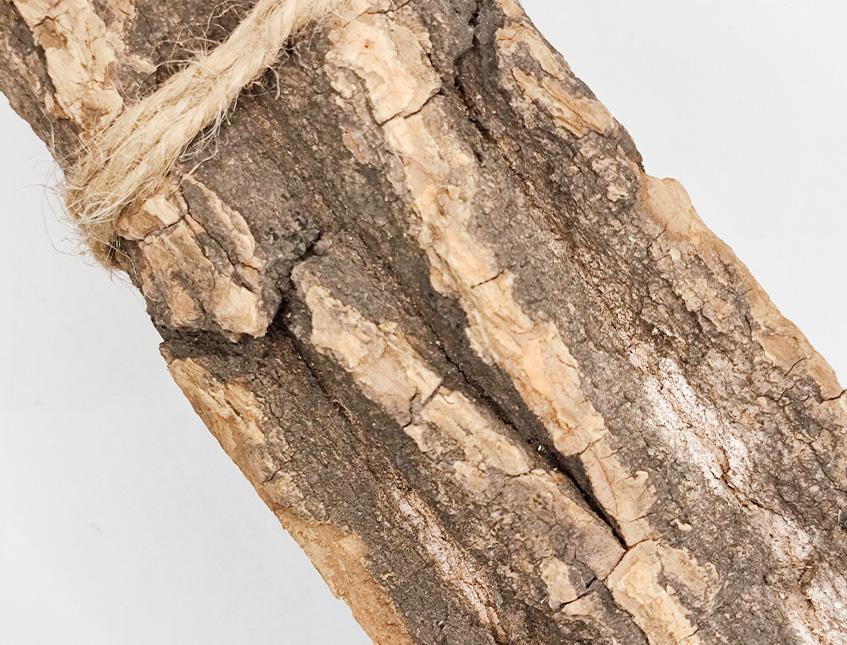 Corteccia di Catappa Bark x 6 -  Sconti per Fioristi e Aziende . -  cm. 25 x 7