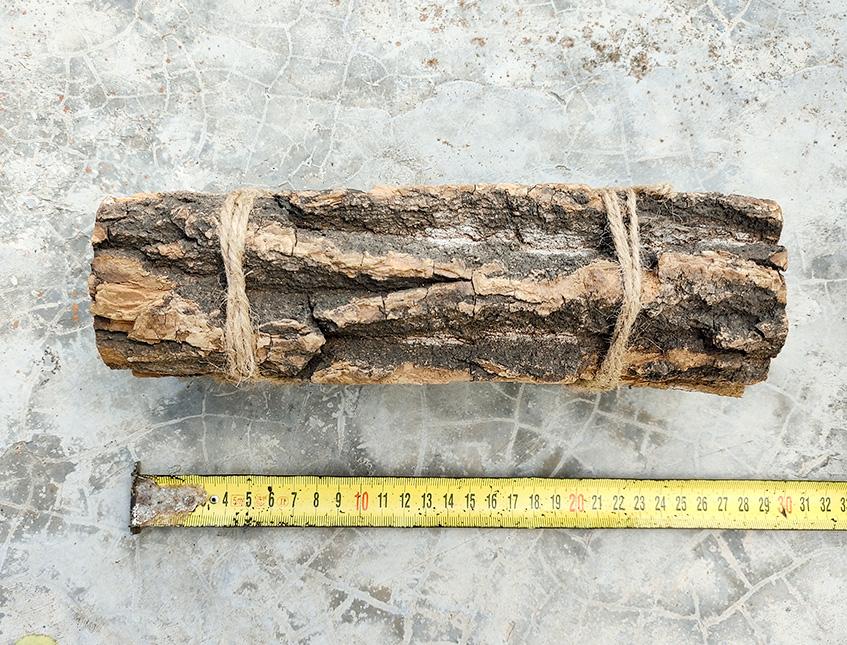 Corteccia di Catappa Bark x 6 -  Sconti per Fioristi e Aziende . -  cm. 25 x 7