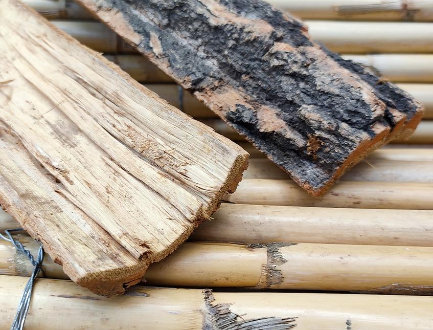 Corteccia di Catappa Bark x 6 -  Sconti per Fioristi e Aziende . -  cm. 25 x 7