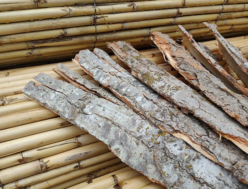 Corteccia di Pioppo Kg. 1  - Sconti per Fioristi e Aziende . - H 40  cm.