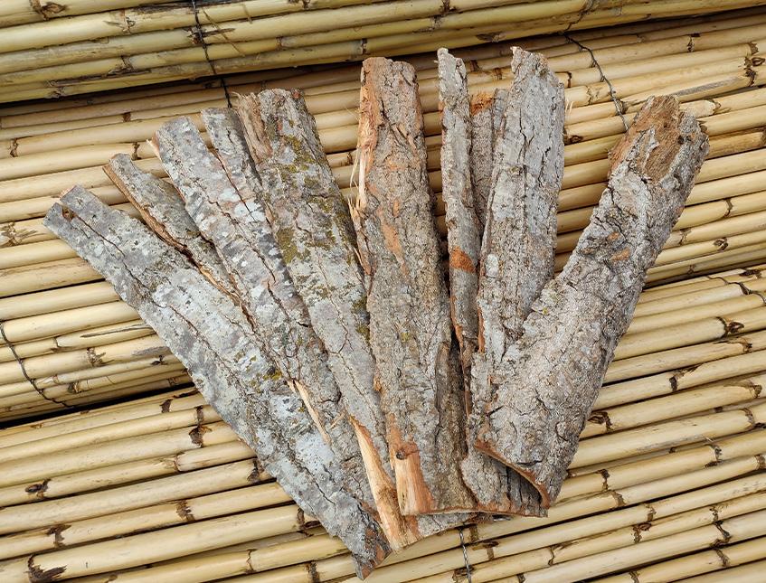 Corteccia di Catappa Bark x 6 -  Sconti per Fioristi e Aziende -  cm. 25 x 7