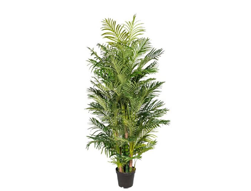 Areca Palm H 220 in vaso - Sconti per Fioristi e Aziende . - Artificiale con 3976 foglie