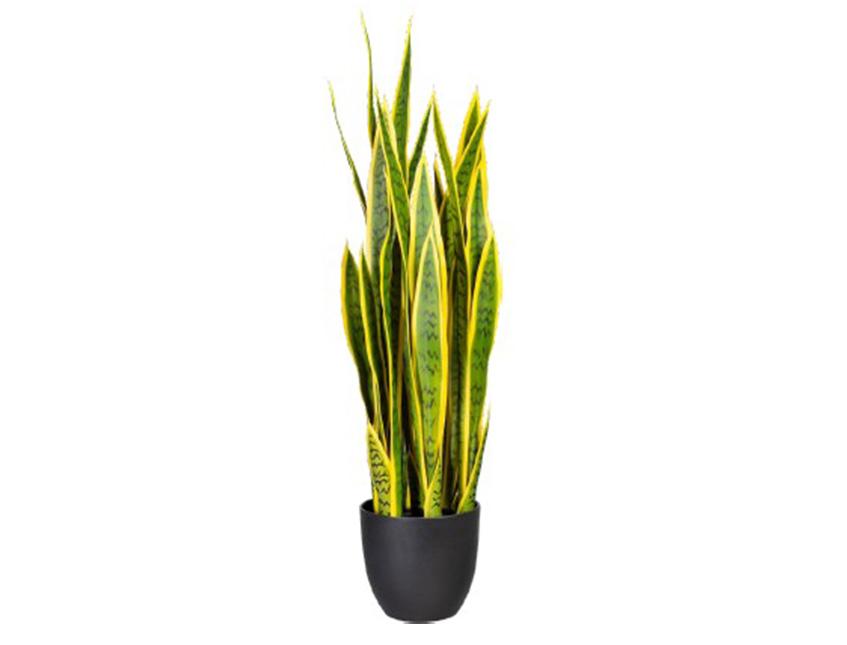 Sanseveria Trifasciata H 90  - Sconti per Fioristi e Aziende - Artificiale x 29 foglie in vaso