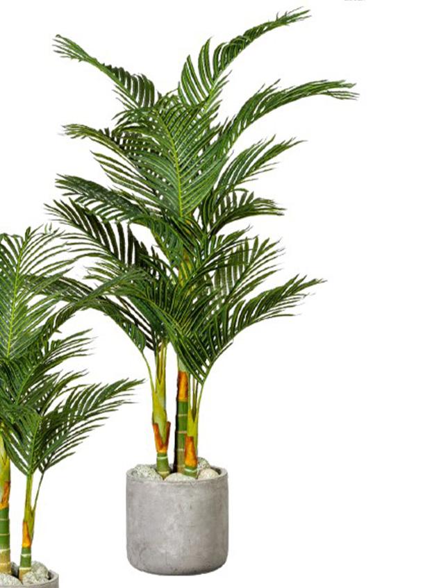 Areca Palm H 150 in vaso - Sconti per Fioristi e Aziende . - Artificiale
