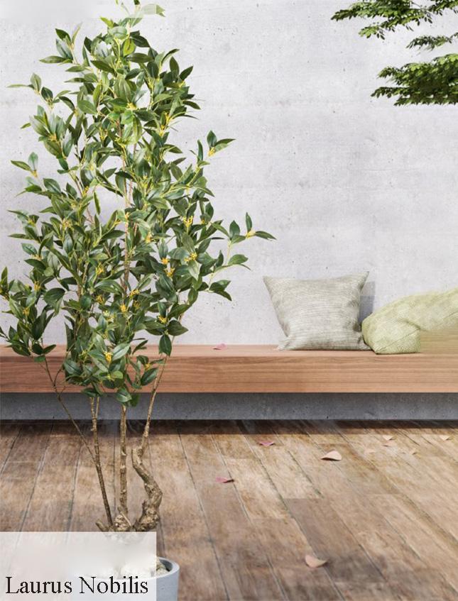 Albero Laurus Nobilis H 195 - Sconti per Fioristi e Aziende - Artificiale in vaso