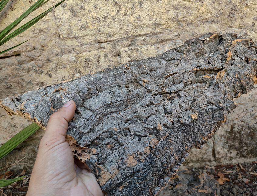 Corteccia di Sughero al Kg.- Sconti per Fioristi e Aziende . - Spessore 2-3 cm. circa