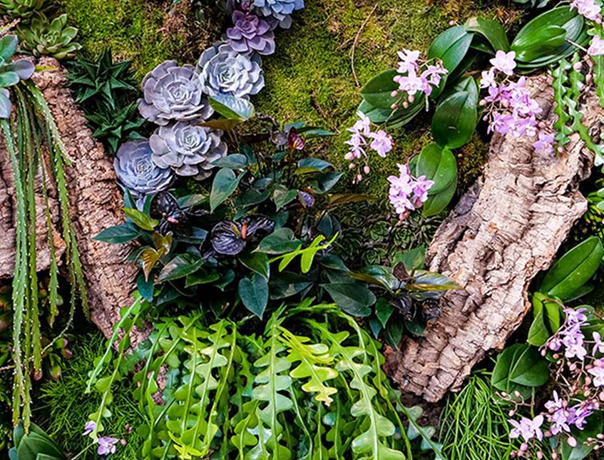 Corteccia di Sughero al Kg.- Sconti per Fioristi e Aziende . - Spessore 2-3 cm. circa