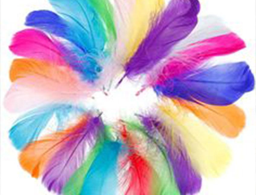 Piume colorate H 29 cm.  - Sconto per Fioristi e Aziende - conf. monocolore da 6 piume